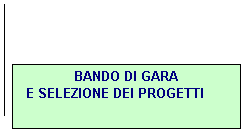 Callout 1: BANDO DI GARA
 E SELEZIONE DEI PROGETTI
